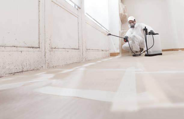 24/7 Emergency Mold Cleanup experts in Victoria, VA